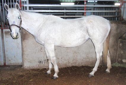 Ȧ�����̳� ����