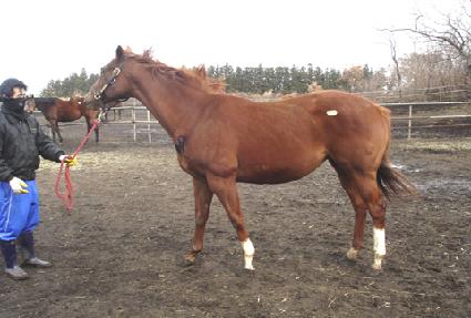 ����ũ����̺� ����