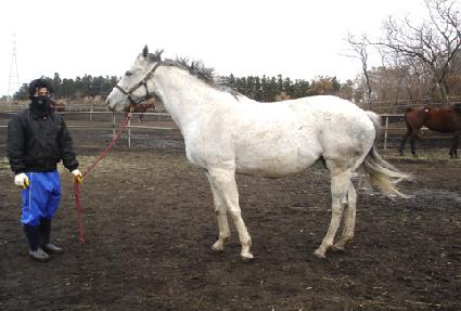 ���罺������ ����