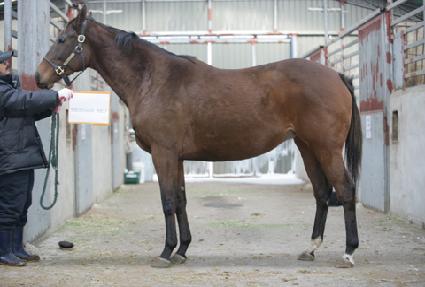 �޽������� ����