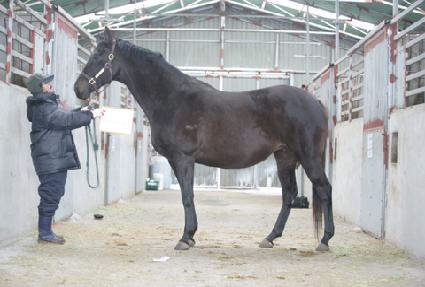 ������ǮŰ�� ����