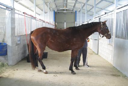 ��Ű���� ����