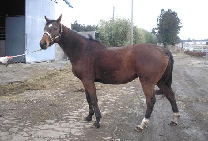 ����Ʈ�����̽� ����