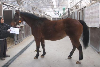 �����Ͻ�Ÿ�� ����