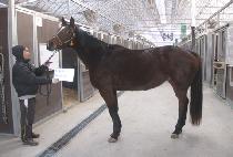 Ʈ���ý�����Ʈ (TRIPLE SCHNIED) ����