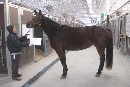 Ʈ���ý�����Ʈ ����