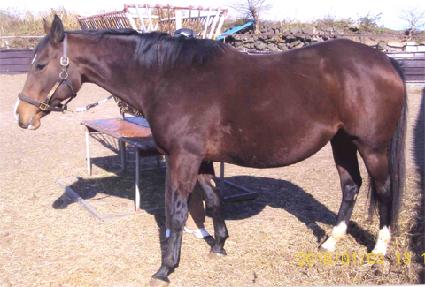 ����彺Ű�� ����