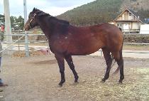 SURPRISING DANCER picture