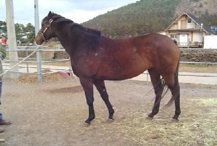 ��������¡���� ����