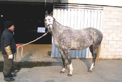 ���ε��� ����