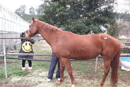 ��Ƽ���˷翡Ʈ ����