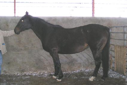 ���ص�Ʈ��Ƽ ����