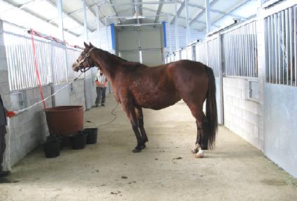 �ҿ������� ����