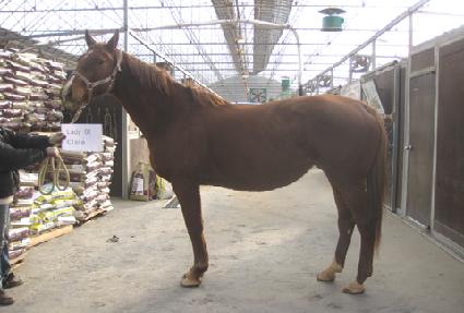 ���̵����Ŭ���� ����