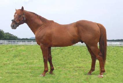 �ǽ����� ����