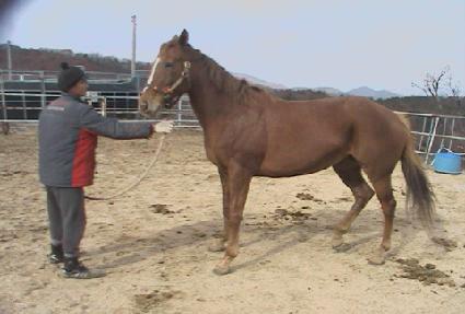 ���������丮 ����