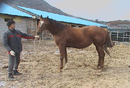 ��ťƮ����Ʈ ����