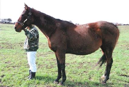 �巹������������ ����