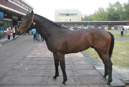 ���л� ����