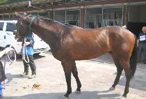 ������ (SUBONGSAN) ����