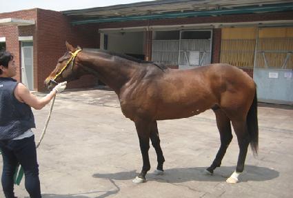 ���̻� ����