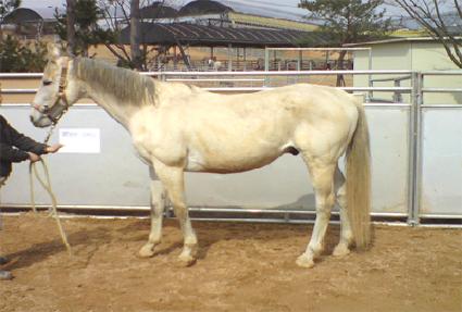 �پ���� ����