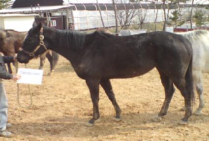 ���ͺ극�� ����