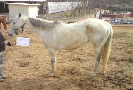 �����ѷ��̵� ����