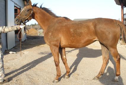 ĸƼ�� ����