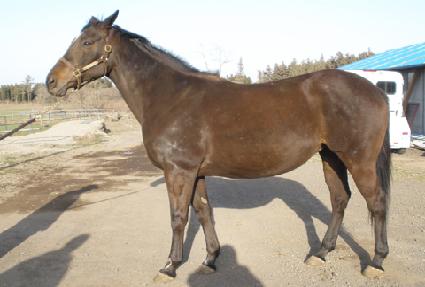 �̽�Ʈ��������Ÿ ����