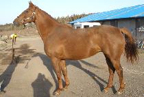 ����Ʈ (SEA COURT) ����