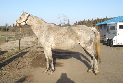 ����ȭ�̾� ����