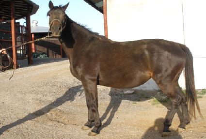 ��Ÿ������Ÿ ����