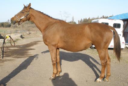 Ʈ����Ƽ����Ƽ�� ����