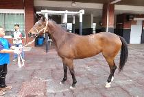 â���ǵ����� (CHANGGONGUIDOKSURI) ����