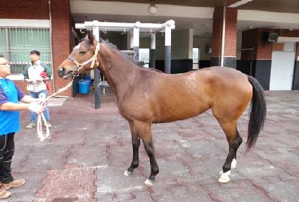 â���ǵ����� ����