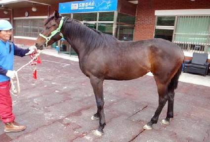 ���Ѽ��� ����