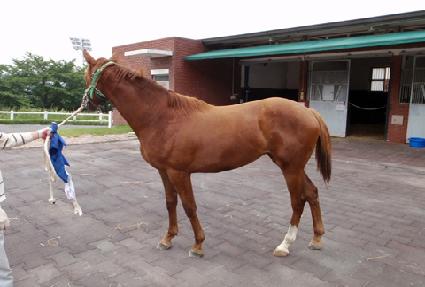 �θ����� ����