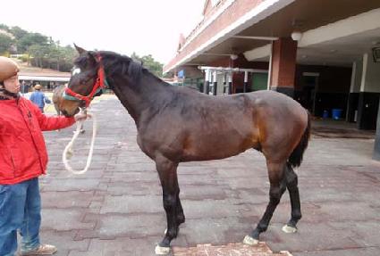 �ְ�õ�� ����