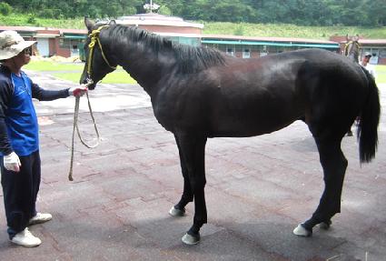 �ҽ����� ����