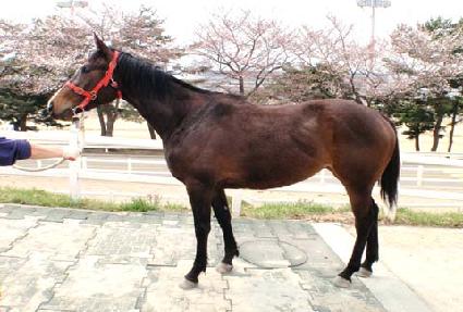 �ְ����� ����