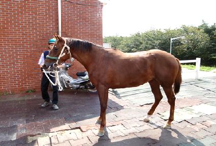 �������� ����