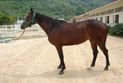 ����� ����