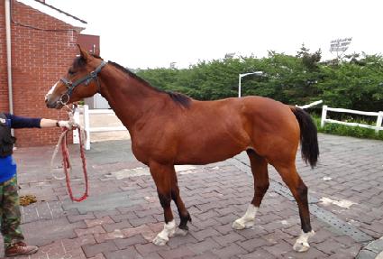 ������� ����