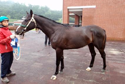 ���뱹 ����