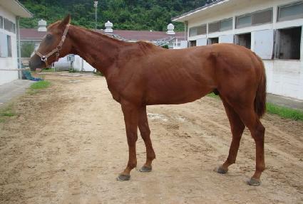 õ����ǳ ����