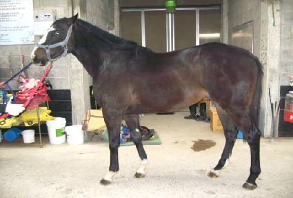 ���丮�� ����