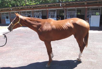 �������� ����