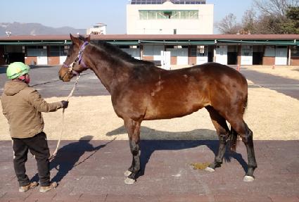 ������Ʋ ����