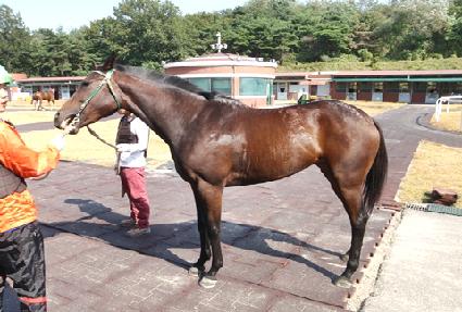 �������� ����